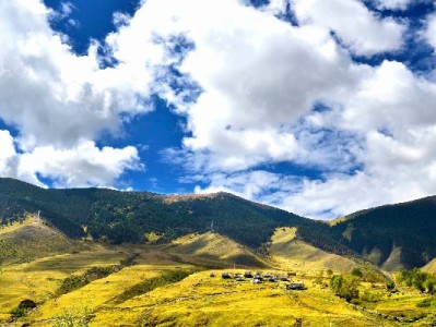 花呗转微信钱包可行吗？出财小神提醒警惕这些风险