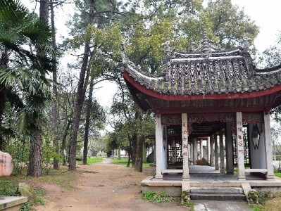 抖音月付提现全攻略：出财小神助你高效操作不踩坑