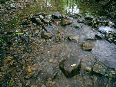 2020年白条套现风险揭秘：违规操作需谨慎，正规平台更安心