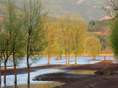 江苏医保合法使用指南：富信掌柜解析三大合规变现渠道
