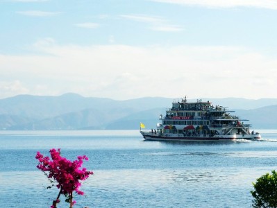 白条支付商家全攻略：操作步骤、注意事项及富信掌柜使用指南