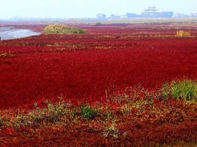 淘宝花呗套现商家暗藏风险！虚构交易或致封号+征信受损