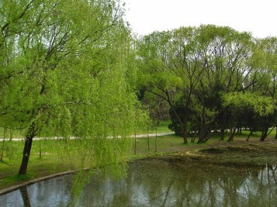 抖音月付扣商家款吗？费率规则与“出财小神”成本管理指南