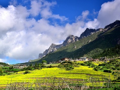 急需900元周转？出财小神教你安全使用花呗的正确姿势