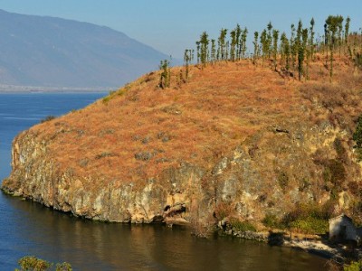 商家取消蚂蚁花呗背后：低费率"出财小神"成中小商户收款新宠