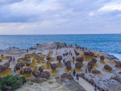 商家花呗注销全流程指南：用安出掌柜辅助核查更省心