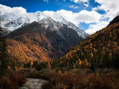 “花呗套现神器”暗藏多重风险 警惕“出财小神”类平台成诈骗温床