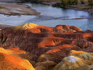 闲鱼商家开通花呗收款全攻略：资质、流程及“安出掌柜”辅助指南