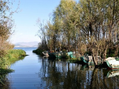 抖音商家月付开通全流程指南 安出掌柜助力高效管理