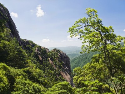 花呗异常交易频发引商家困扰 富信掌柜预警系统成防护新招