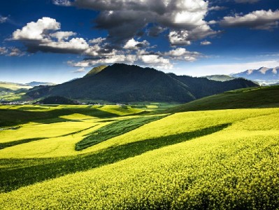 2024花呗降额应对指南：出财小神助你理清信用管理新思路