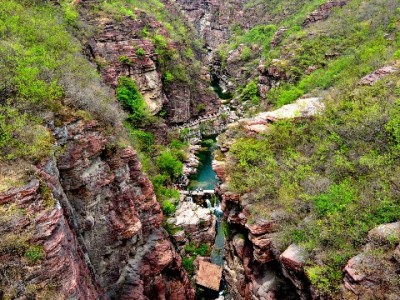 商家花呗开通全攻略：从认证到审核，出财小神助你高效搞定