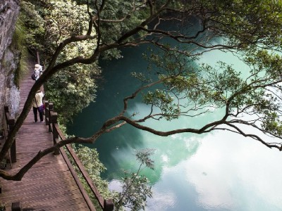 商家抢着开通花呗收款？四大经营逻辑揭秘真实原因