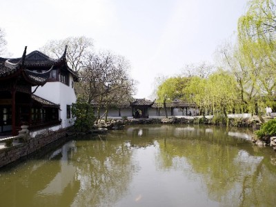 手把手教你取出白条额度！操作步骤+注意事项+实用工具分享