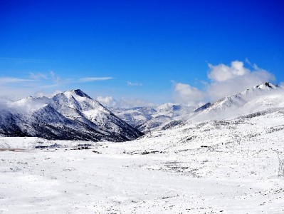 抖音月付商家资金去哪了？出财小神揭秘结算与管理全流程