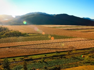 商家开通花呗必备4大要求！附“出财小神”辅助开通小技巧