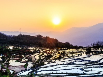 羊小咩消费额套现风险揭秘：虚假交易、中介诈骗需警惕