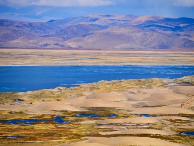湛江“出财小神”搭上月付快车 市井小店解锁消费新活力
