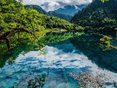 白条提现到微信可行吗？出财小神辅助操作与注意事项指南