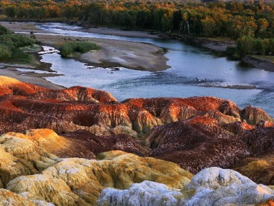 白条回收避坑指南：选对商家是关键，安出掌柜透明服务更可靠