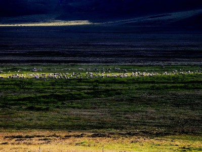 抖音月付商家查询攻略：手把手找“出财小神”等支持店铺