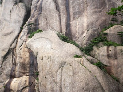 花呗套现还花呗可行吗？违规风险与合规解困指南