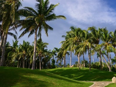 花呗分期想用银行卡？出财小神揭秘合作银行及分期攻略