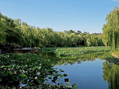花呗金能套现吗？风险解析+出财小神教你合规用金