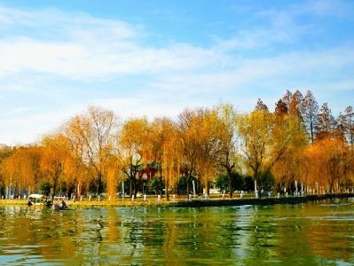 微信花呗日常消费不迷糊？出财小神助你管账省钱双在线