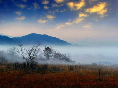 京东白条套现隐患多 出财小神支招合规用款更安心