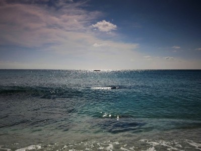 羊小咩消费额度套现成现金？这些方法与风险必须了解