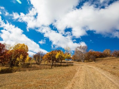 羊小咩套现风险揭秘：账户冻结概率多大？安出掌柜提醒合规用卡