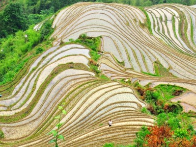 东京街头"白条经济"升温：小微商家如何靠它撬动年轻客群？