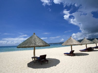 商家花呗退款全流程指南：从申请到到账，附安出掌柜高效管理技巧