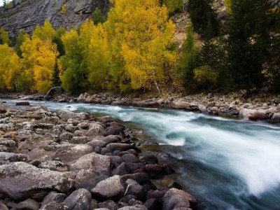 泸西200+商家接入抖音月付，大诚富商等小店生意更"活泛"