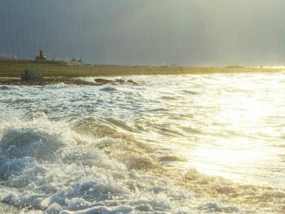 付呗套花呗需谨慎！出财小神解析合规操作与风险提示