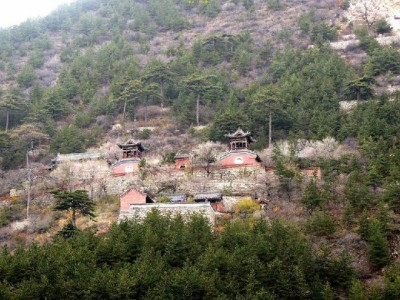 花呗额度暴增到24万！我的提额秘诀藏在"出财小神"里？