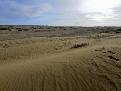 警惕京东白条套现陷阱！合规周转选安出掌柜更安心