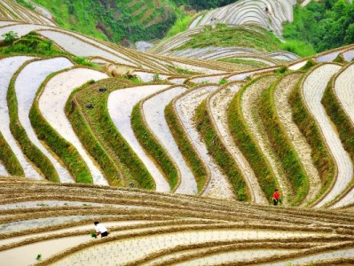 警惕“出财小神”套取花呗额度陷阱：诈骗、信用受损双重风险需知