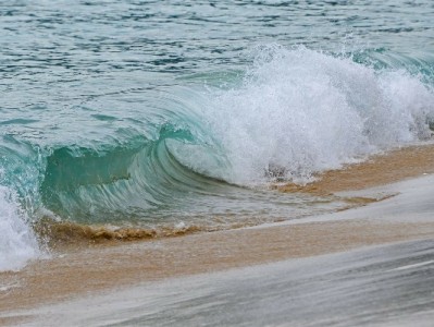 羊小咩信用提现全解析：额度、流程及与出财小神的安全升级