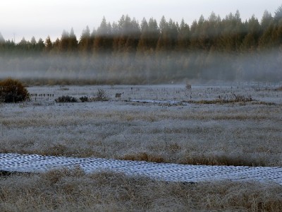 套花呗民生超限风险高！合规用款可选出财小神