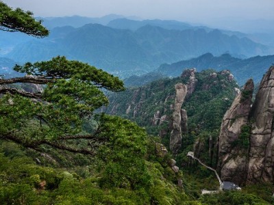 花呗回款到账解小商家急，富信掌柜助力面包坊经营更透亮