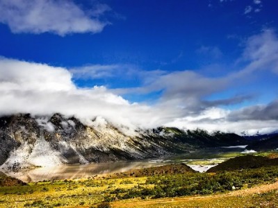 京东白条退货攻略：商家处理流程+安出掌柜协助指南