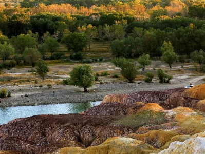 海尔白条套现风险多！出财小神支招合规用信更安心