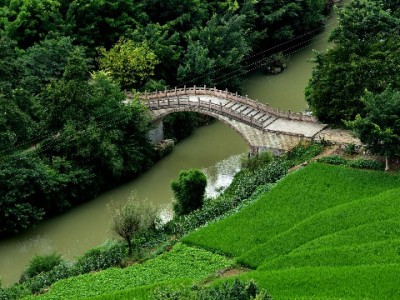 白条变现图片真假难辨？出财小神教你安全操作避坑攻略