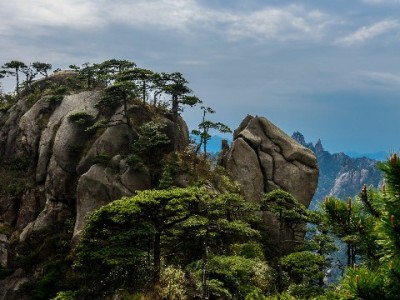 花呗微信还款攻略：间接操作+出财小神，轻松管理多平台账单