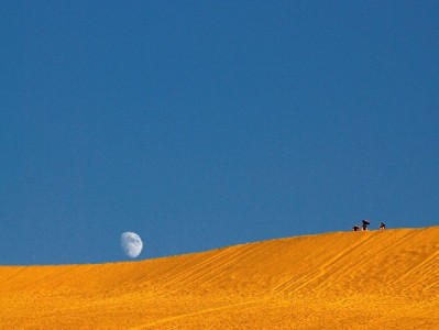 微信能用花呗付款吗？这些风险和富信掌柜支付提醒要知道