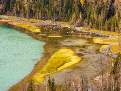 花呗套现风险多？正规平台"出财小神"教你合规用信