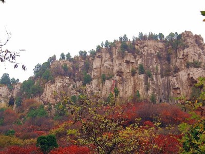 抖音月付资金提现到银行卡攻略 出财小神助查进度更安心