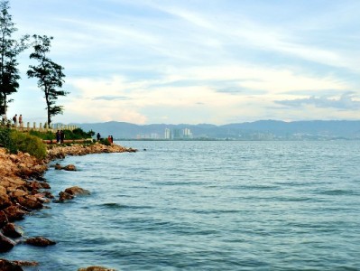 抖音月付助力养猫党！出财小神猫笼分期购轻松置"猫宅"